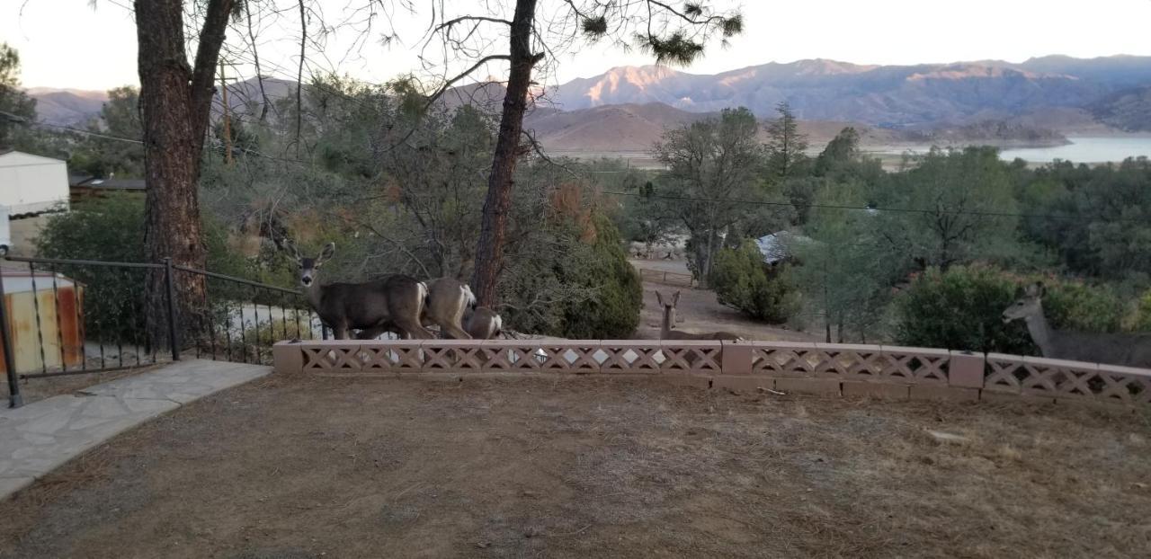 3Br Panoramic Lake View, Sequoia Forest, Kern County Wofford Heights Kültér fotó
